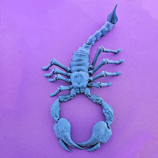 Emperor Scorpion