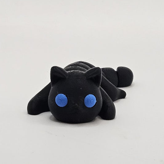 Baby Cat