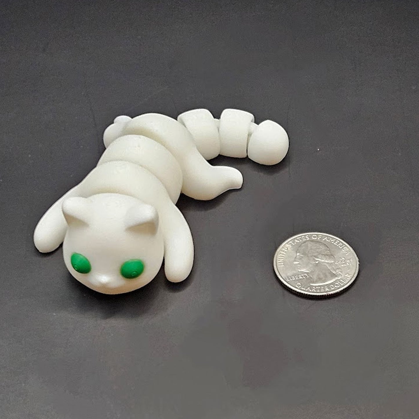 Baby Cat