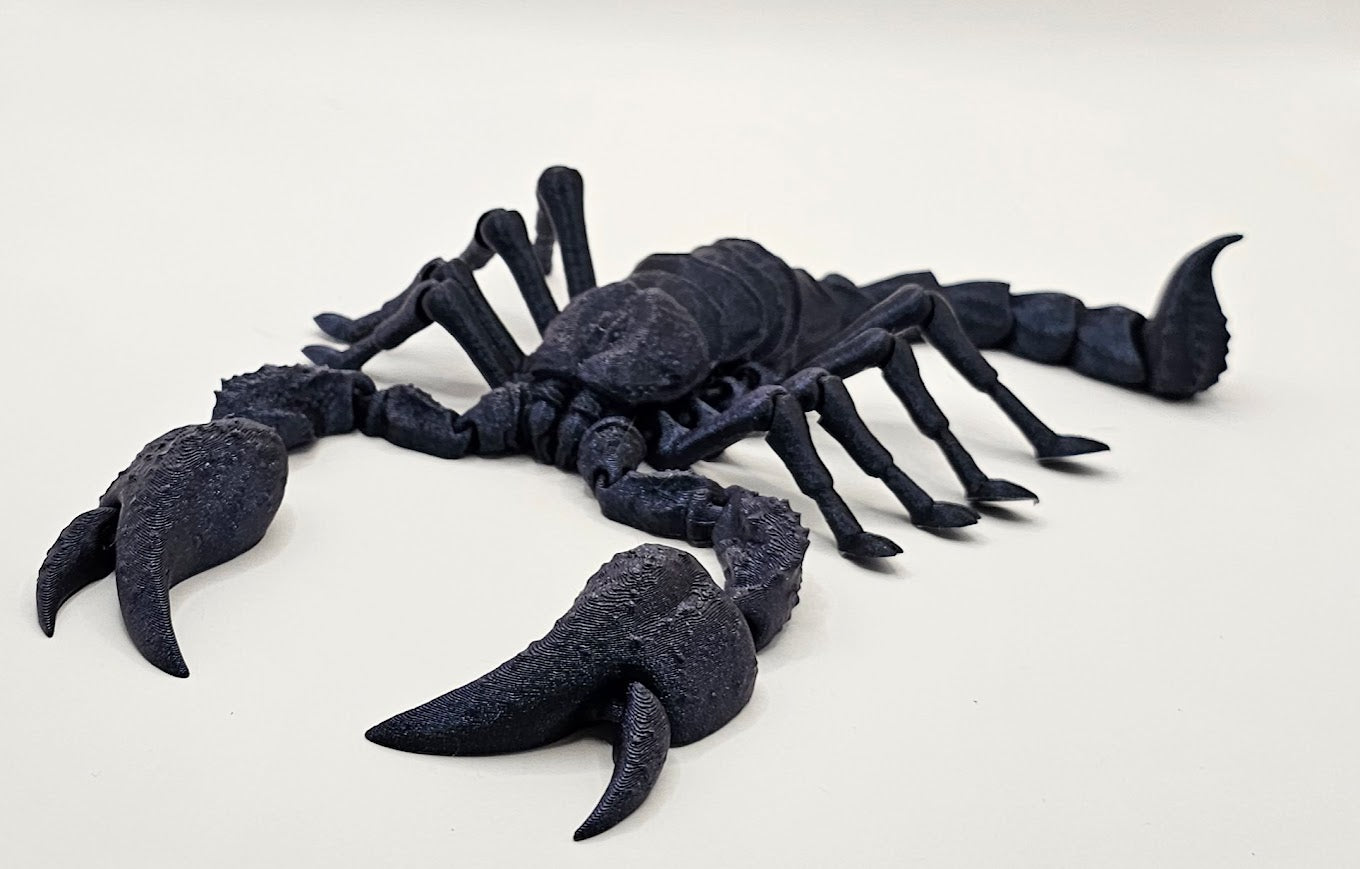 Emperor Scorpion